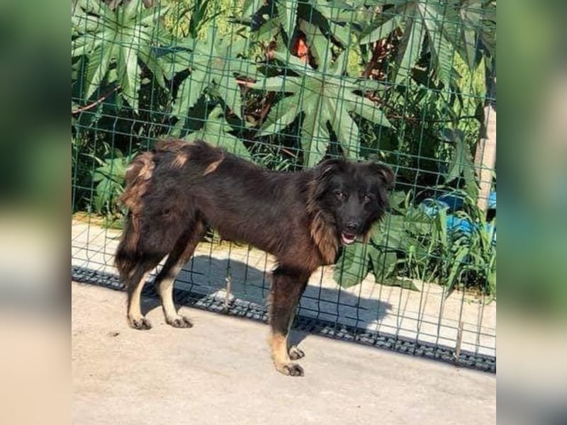 Gina sucht ihre Familie Gina sucht ihre Familie