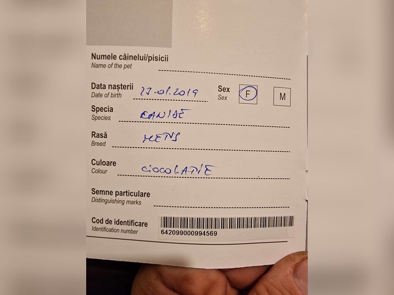 Lana – sanftes Wesen sucht das große Glück