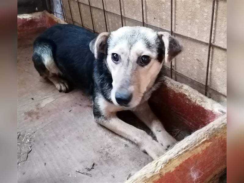 Lotta – schüchtern und zauberhaft, 1,5 Jahre alt