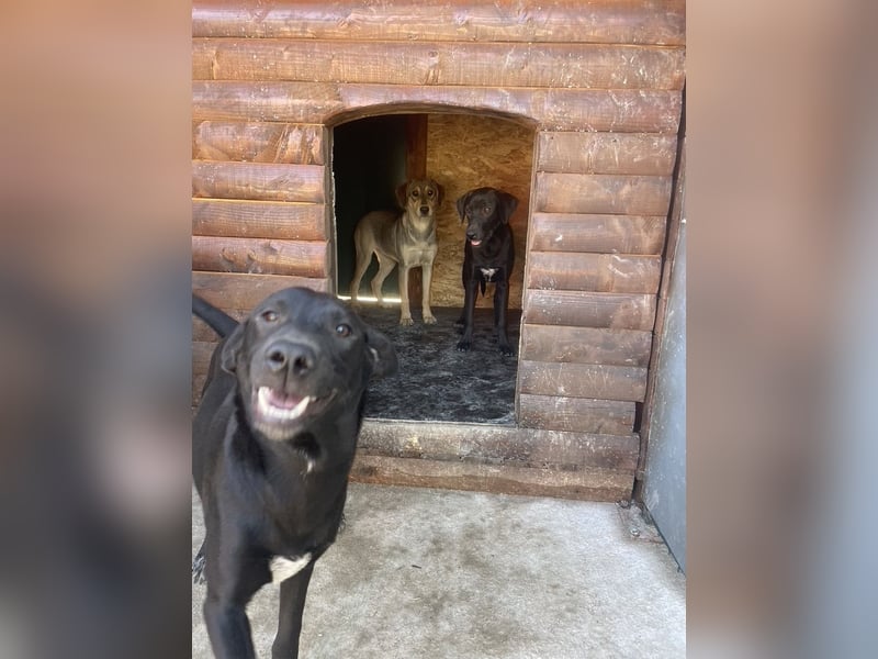 Von der Ruine ins Glück: Hayley möchte endlich ankommen