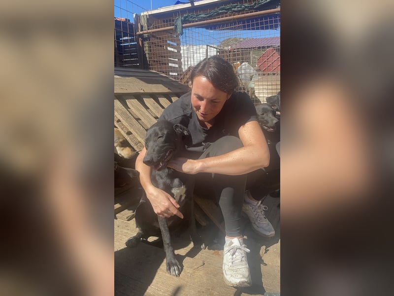 Von der Ruine ins Glück: Hayley möchte endlich ankommen