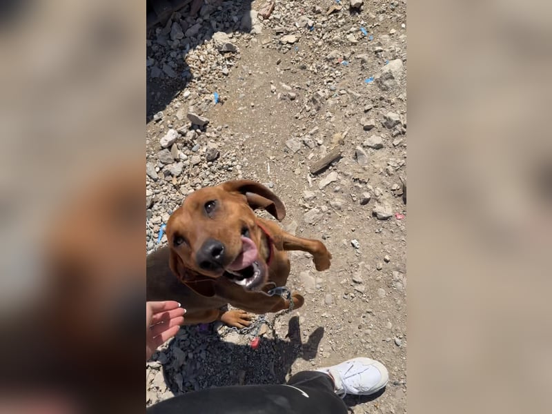 Bubica , Lebensfreude trifft Kuschelbedürfnis