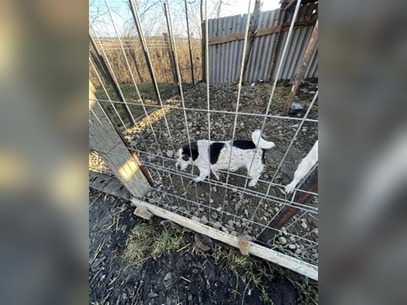 Noris - der perfekte Familienbegleiter