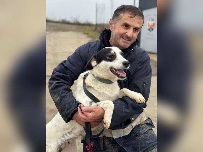 Laika will einfach nur geliebt werden
