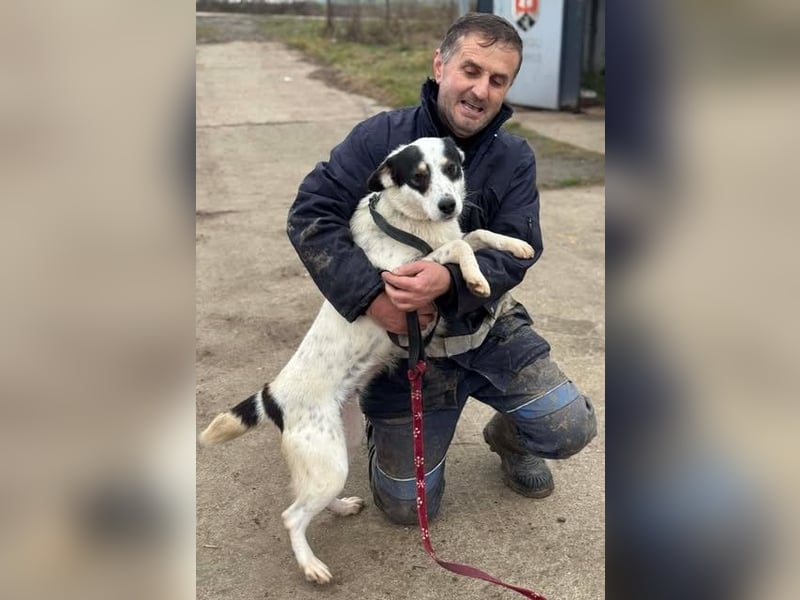 Laika will einfach nur geliebt werden