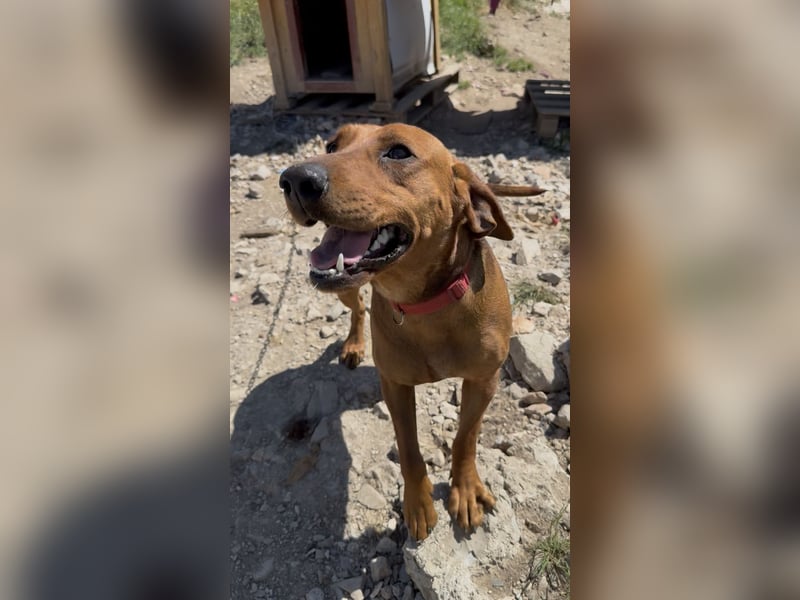 Bubica , Lebensfreude trifft Kuschelbedürfnis