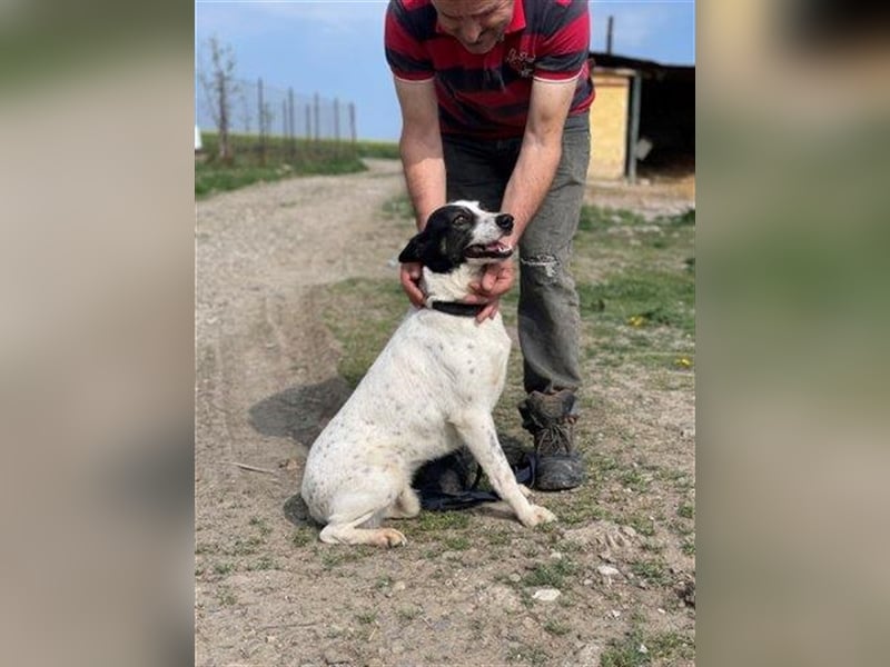 Delia ein anhänglicher Schatz