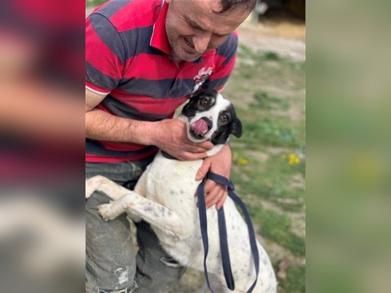 Delia ein anhänglicher Schatz