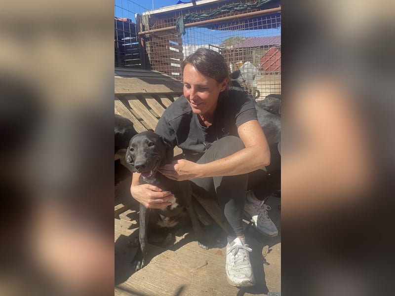 Von der Ruine ins Glück: Hayley möchte endlich ankommen