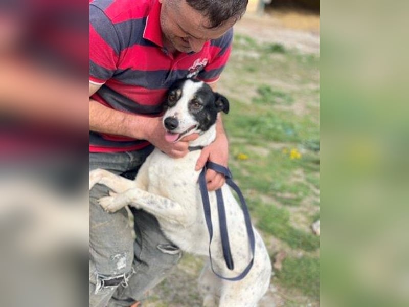 Delia ein anhänglicher Schatz