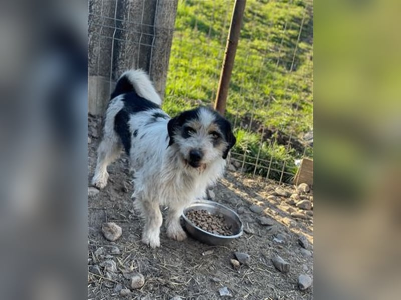 Noris - der perfekte Familienbegleiter