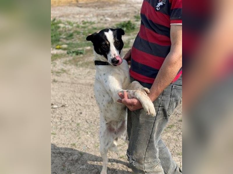 Delia ein anhänglicher Schatz