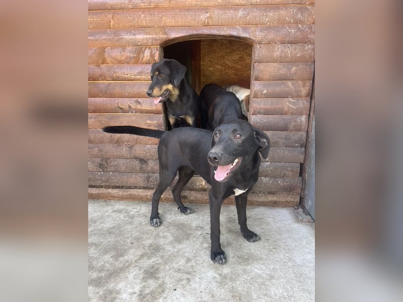 Von der Ruine ins Glück: Hayley möchte endlich ankommen