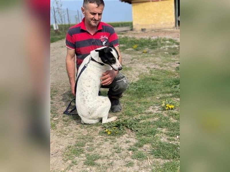 Delia ein anhänglicher Schatz