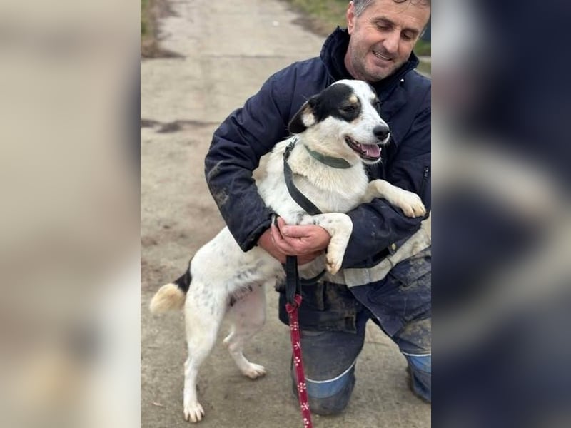 Laika will einfach nur geliebt werden