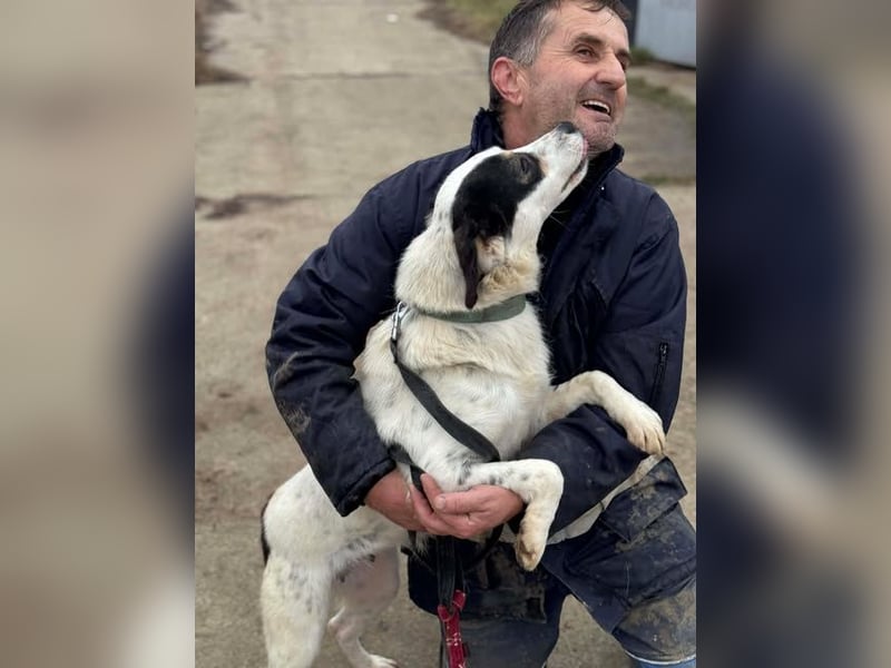 Laika will einfach nur geliebt werden