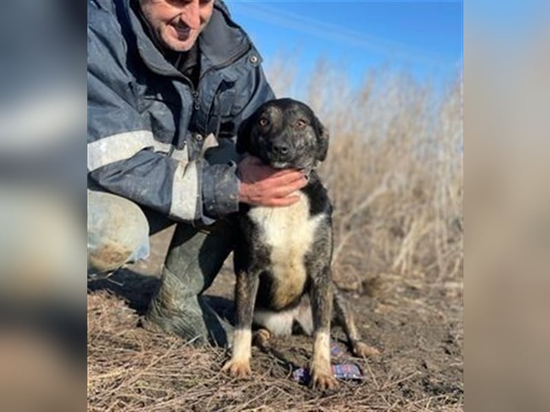 Cami, unsere flotte Biene sucht aktives Zuhause
