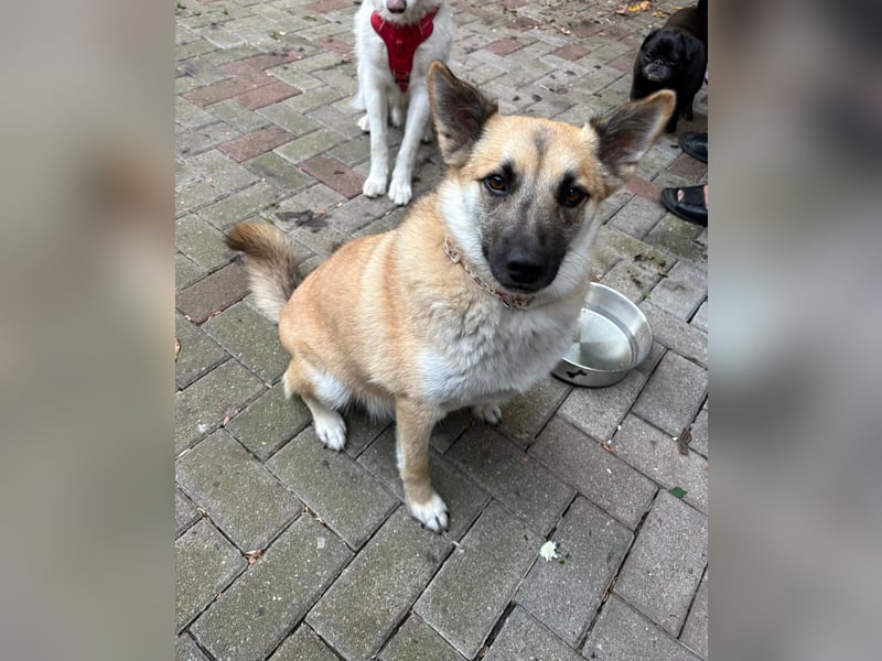 Zauberhafte Knutschkugel sucht kuschelige Menschen