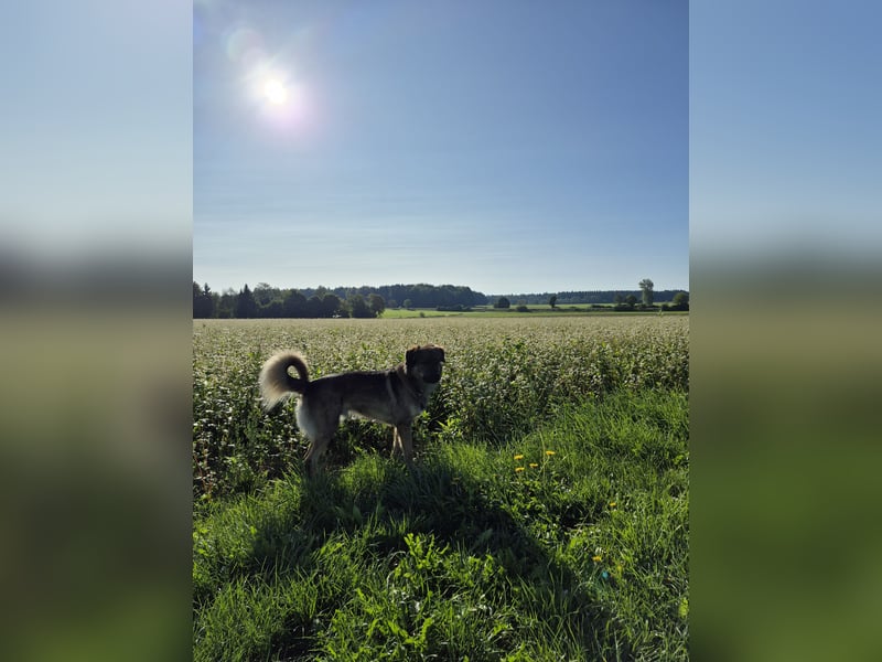 Theo, unser Familienmitglied