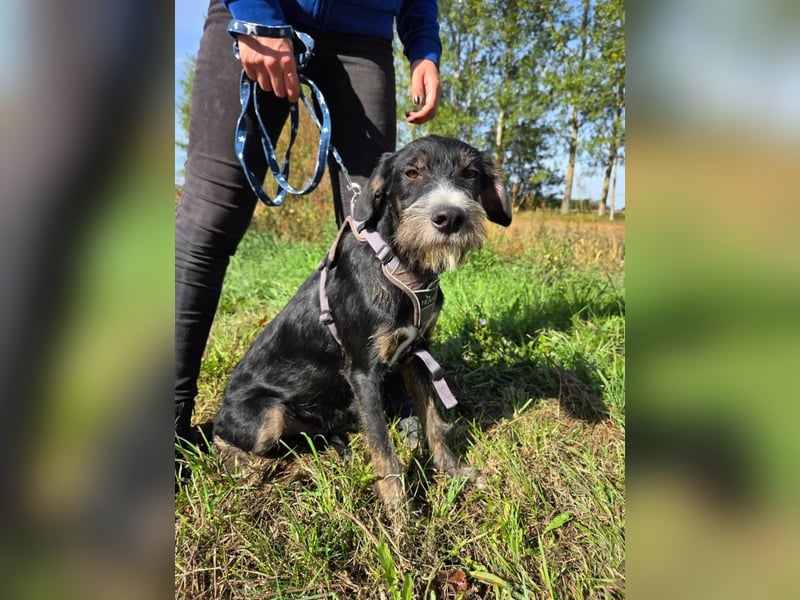 Petrik – mit Geduld und Hundekumpel die Welt entdecken