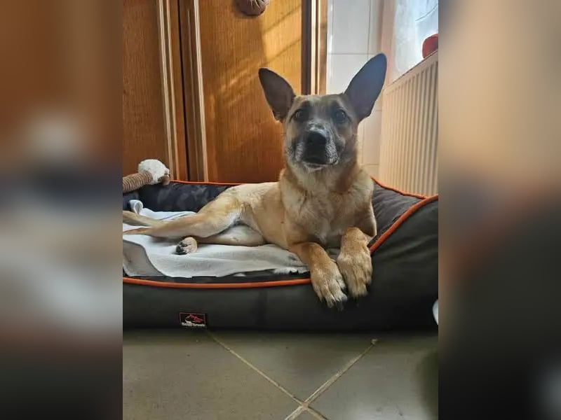 Rebeka – ein schwerer Start, ein Herz voller neuer Hoffnung