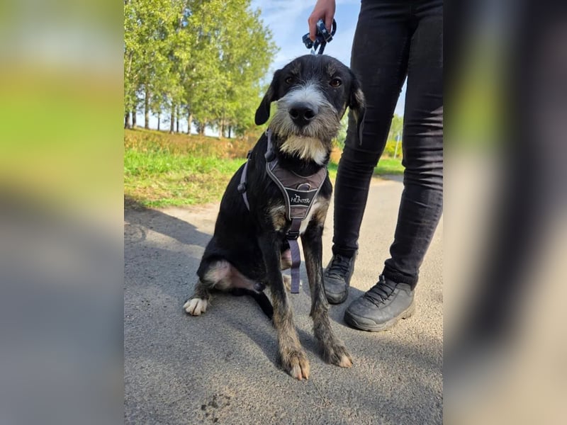 Petrik – mit Geduld und Hundekumpel die Welt entdecken