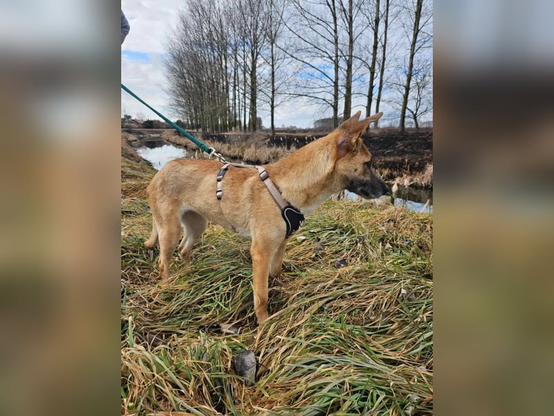Rebeka – ein schwerer Start, ein Herz voller neuer Hoffnung