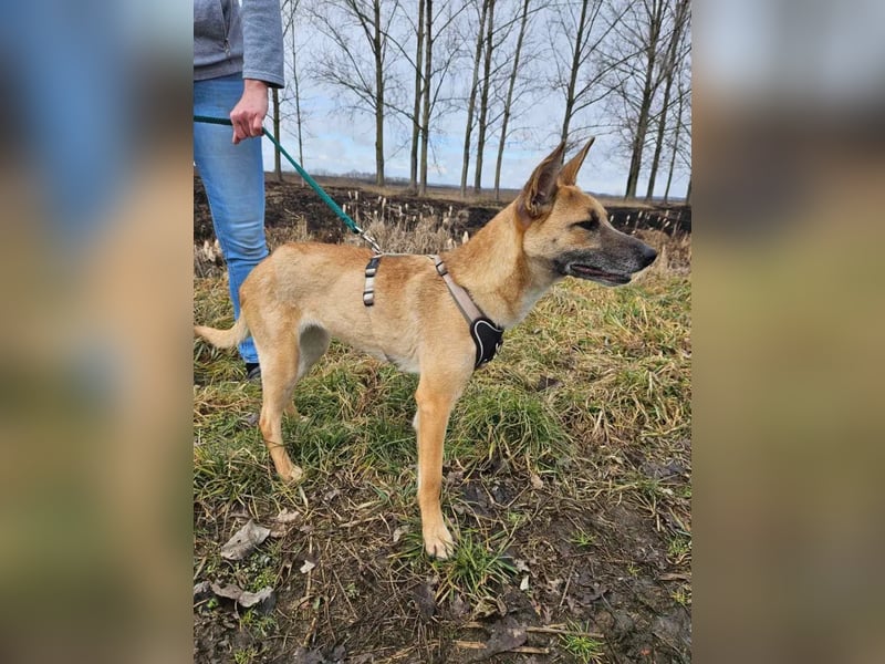 Rebeka – ein schwerer Start, ein Herz voller neuer Hoffnung