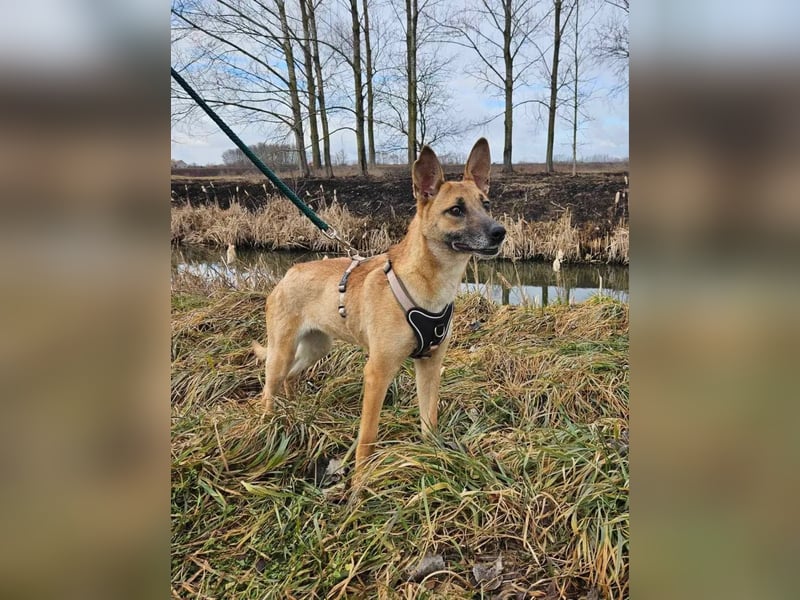 Rebeka – ein schwerer Start, ein Herz voller neuer Hoffnung