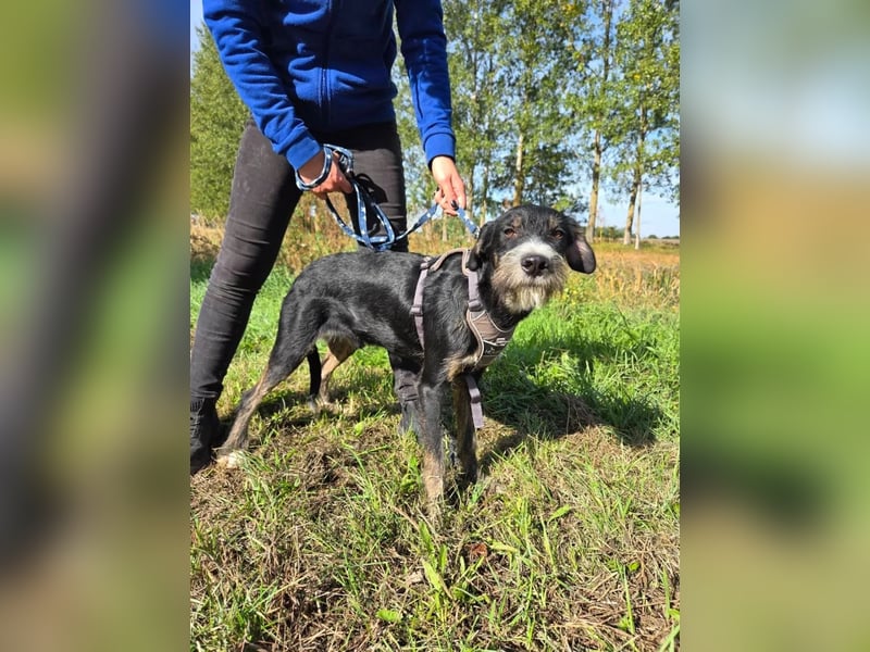 Petrik – mit Geduld und Hundekumpel die Welt entdecken