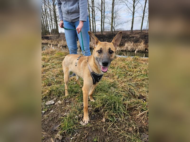 Rebeka – ein schwerer Start, ein Herz voller neuer Hoffnung