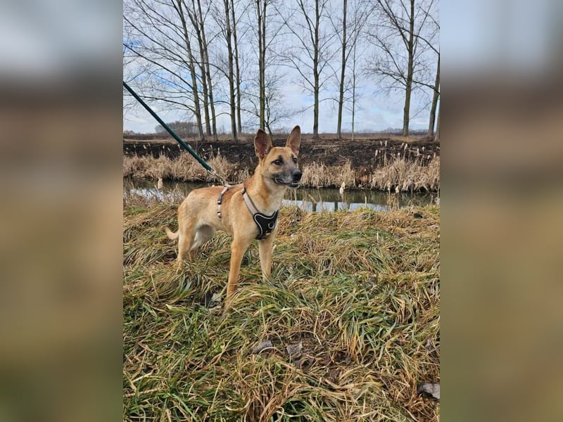 Rebeka – ein schwerer Start, ein Herz voller neuer Hoffnung