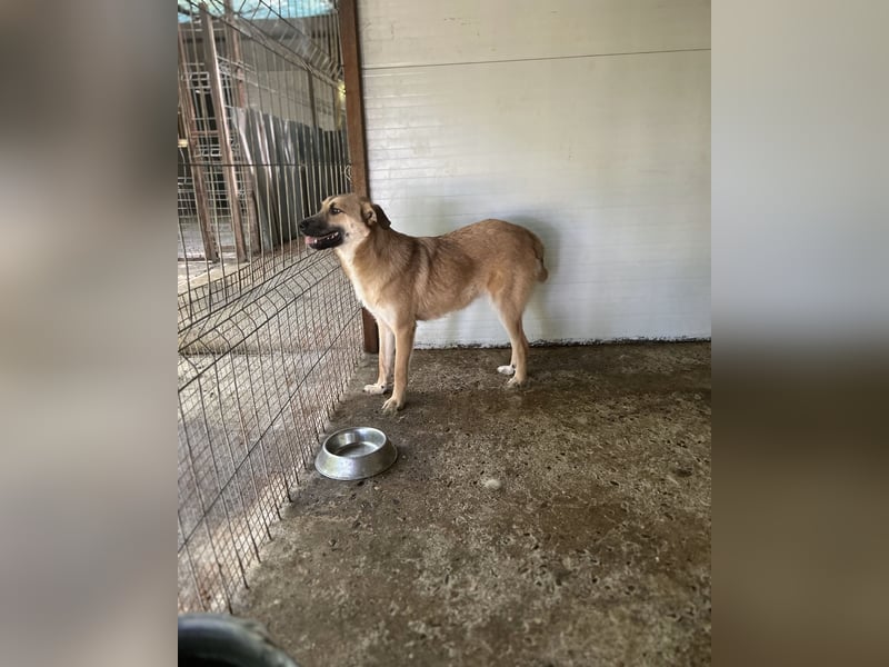 Dirk, Bub, 2 ¾ Jahre, unterhalb vom Knie, fröhlich, aufgeschlossen, verspielt