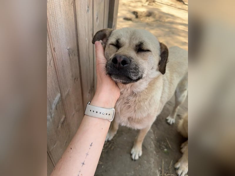 Dirk, Bub, 2 ¾ Jahre, unterhalb vom Knie, fröhlich, aufgeschlossen, verspielt