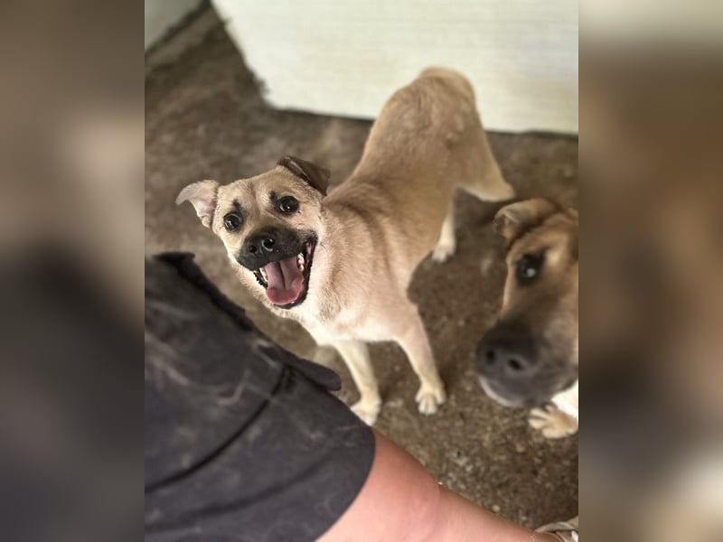 Dirk, Bub, 2 ¾ Jahre, unterhalb vom Knie, fröhlich, aufgeschlossen, verspielt