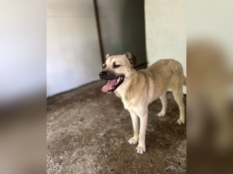 Dirk, Bub, 2 ¾ Jahre, unterhalb vom Knie, fröhlich, aufgeschlossen, verspielt