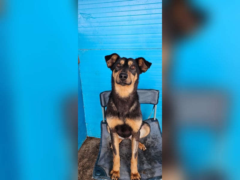 Mona , 3 ¼ jähriges Mädchen, ca. mittelgroß bis Knie, offen, freundlich dominierend, aufgeschlossen