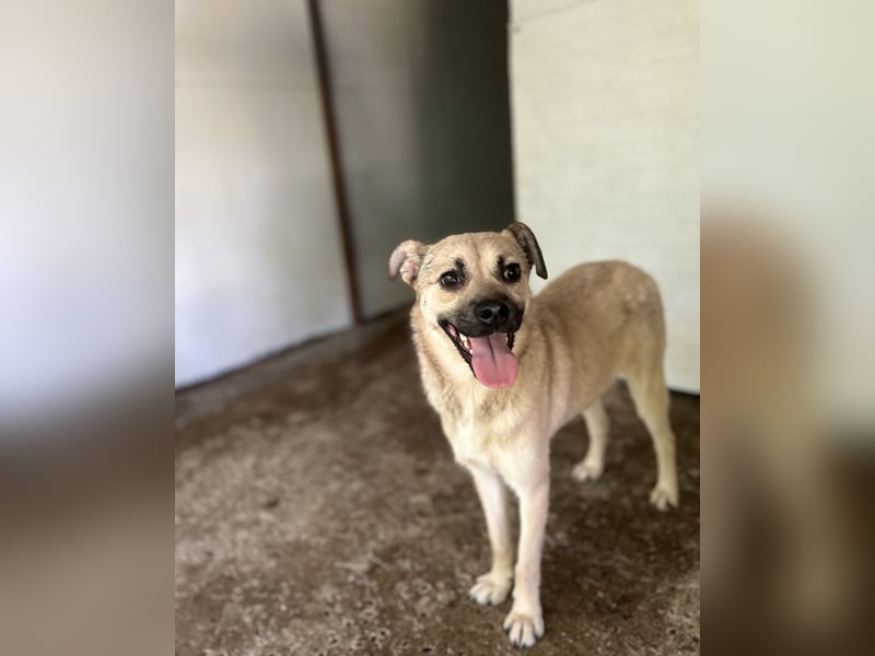 Dirk, Bub, 2 ¾ Jahre, unterhalb vom Knie, fröhlich, aufgeschlossen, verspielt