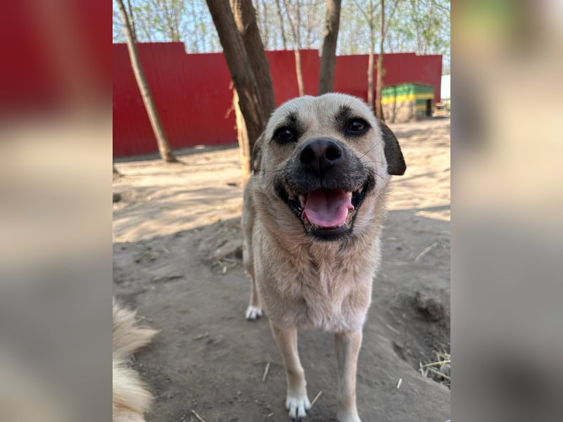 Dirk, Bub, 2 ¾ Jahre, unterhalb vom Knie, fröhlich, aufgeschlossen, verspielt