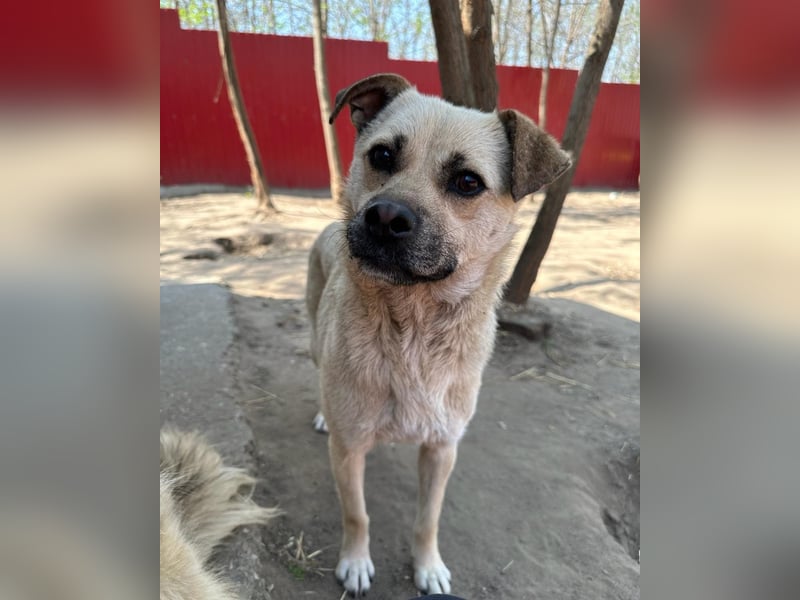 Dirk, Bub, 2 ¾ Jahre, unterhalb vom Knie, fröhlich, aufgeschlossen, verspielt