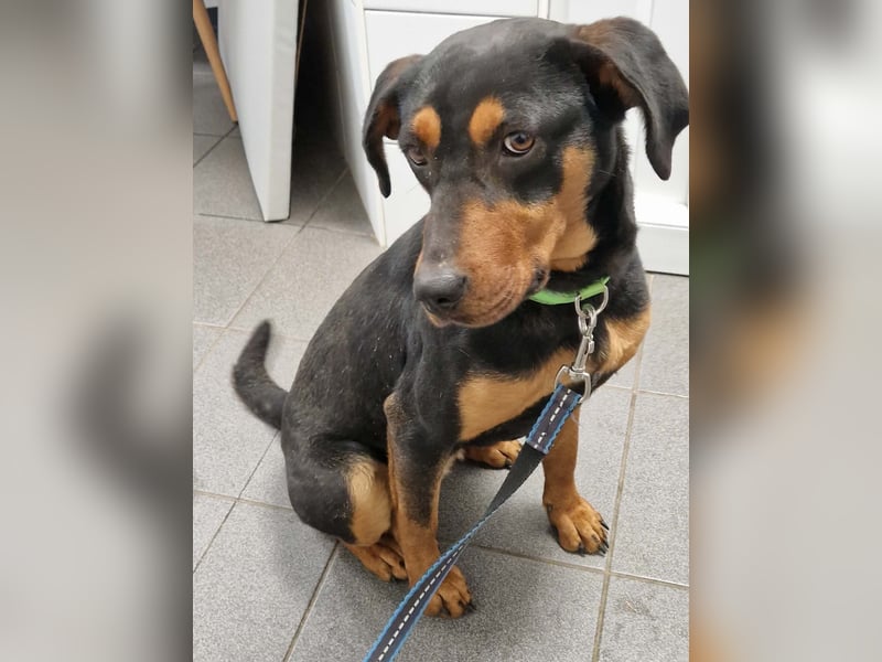 Melike von kettenlos