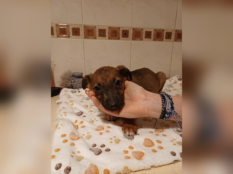 Caspar von kettenlos