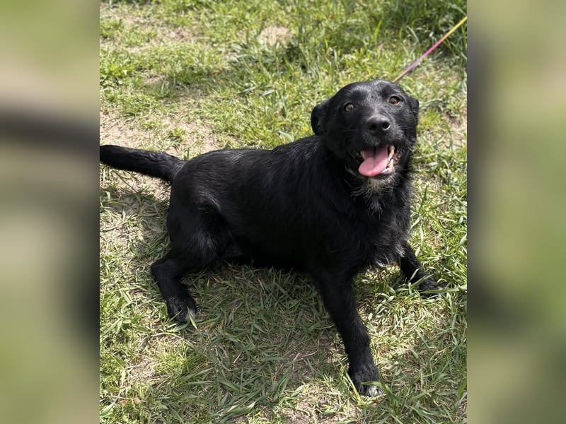 Szeplö von kettenlos