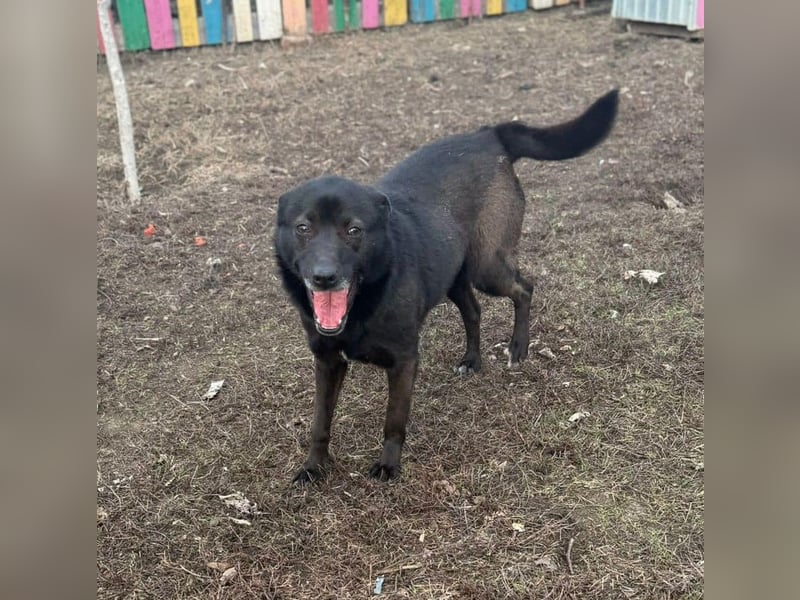 Maylin von kettenlos