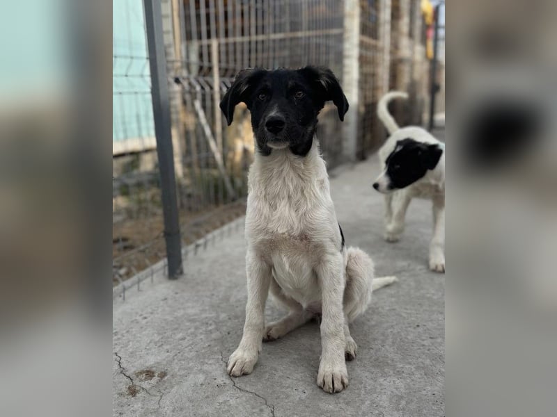 Püppi von kettenlos