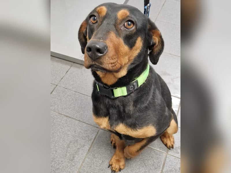 Melike von kettenlos