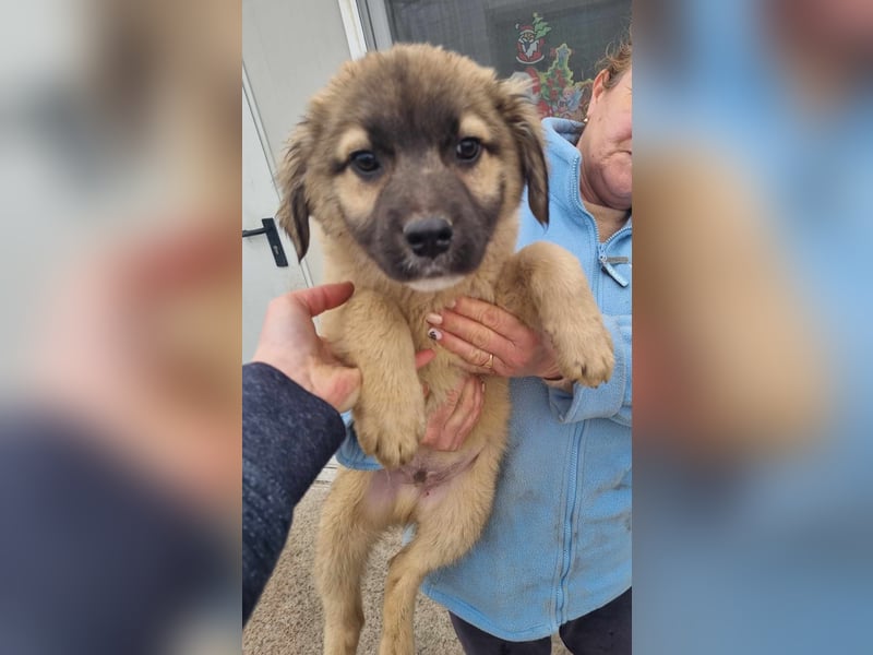 Manolo von kettenlos