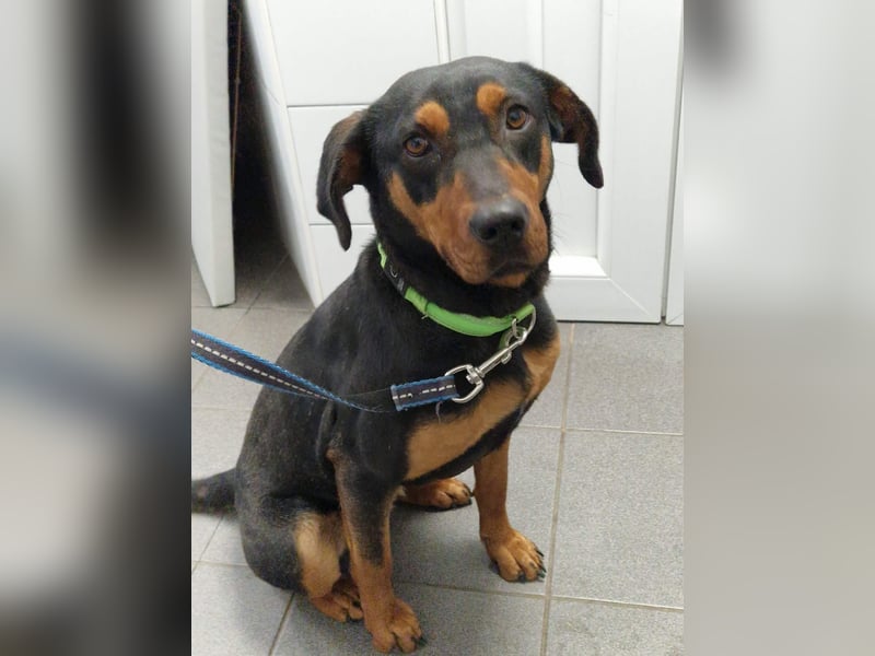 Melike von kettenlos