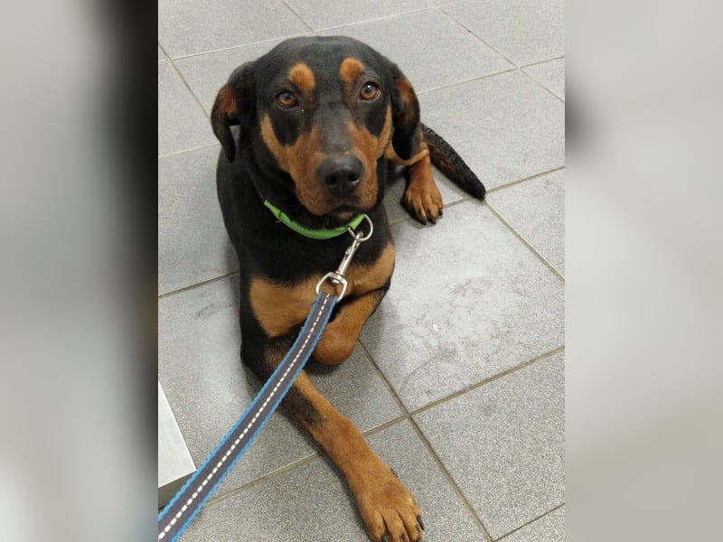 Melike von kettenlos