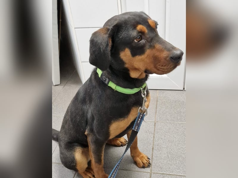 Melike von kettenlos